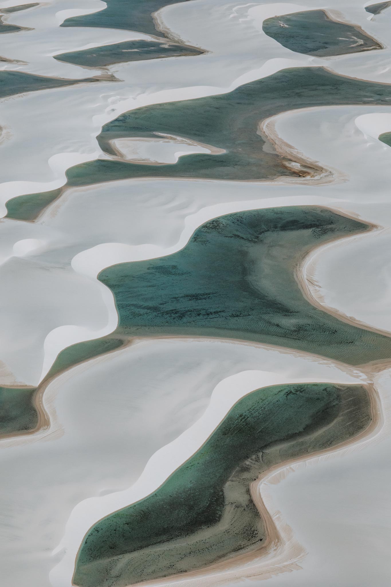 Alien Formations by Will Salkeld, aerial of white sand dunes and green rainwater lagoons at Lençóis Maranhenses, colour photography.