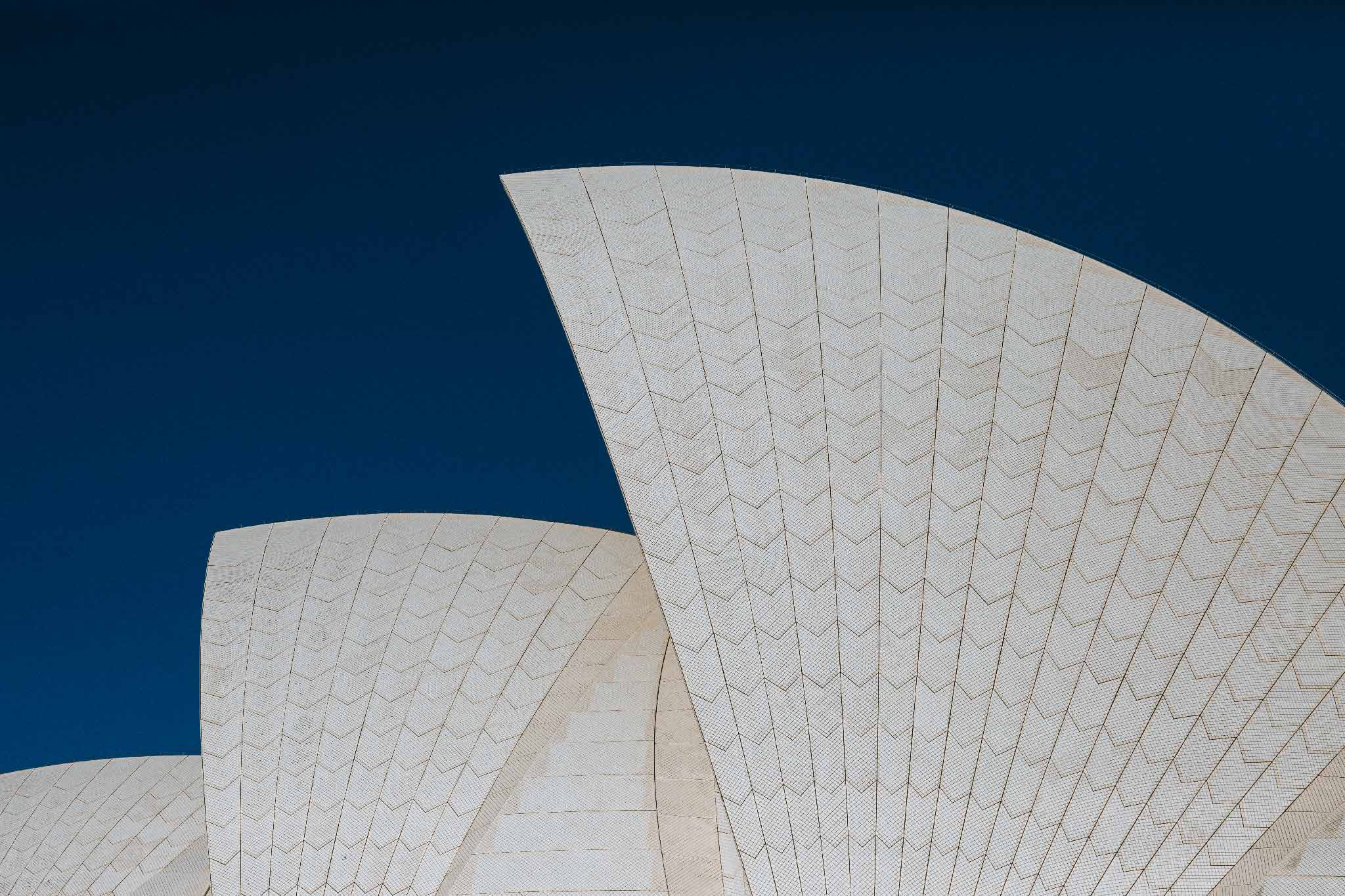 Sydney Sails by Will Salkeld, the sails of the Sydney Opera House isolated against a deep blue sky, colour photography.