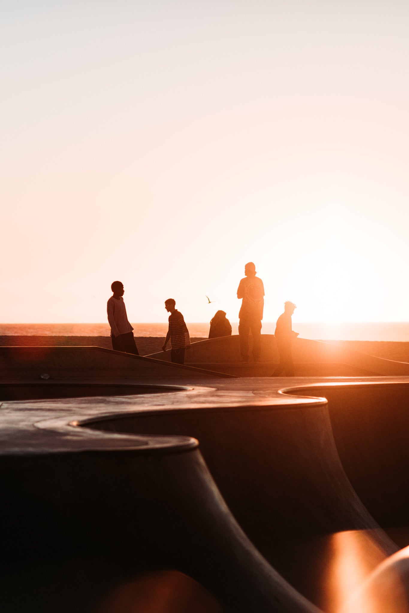Venice Skatepark by Will Salkeld, silhouetted skaters and friends at the bowl during a Pacific sunset, colour photography.