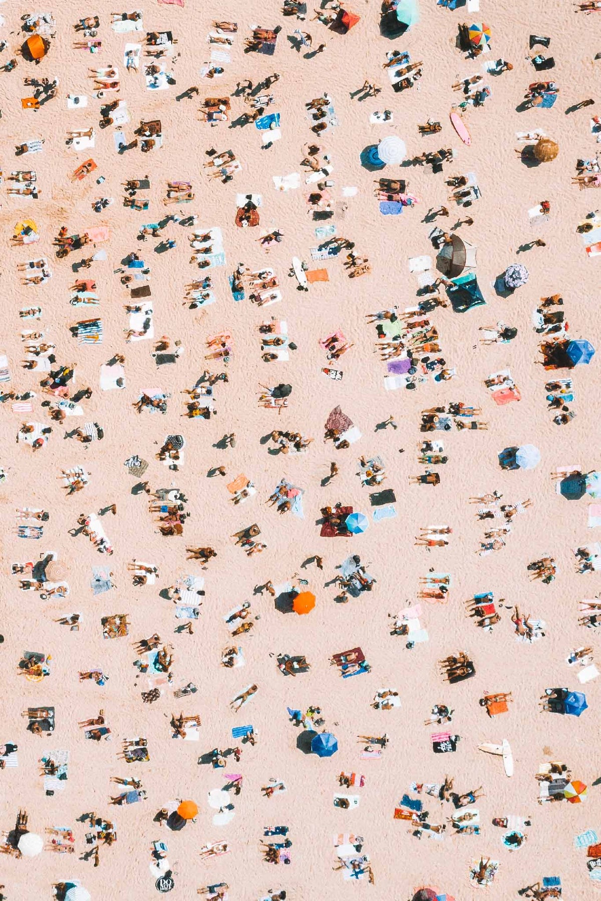 Bondi Cram by Will Salkeld, aerial of Bondi Beach in summer with towels and umbrellas in clusters of colour, colour photography.