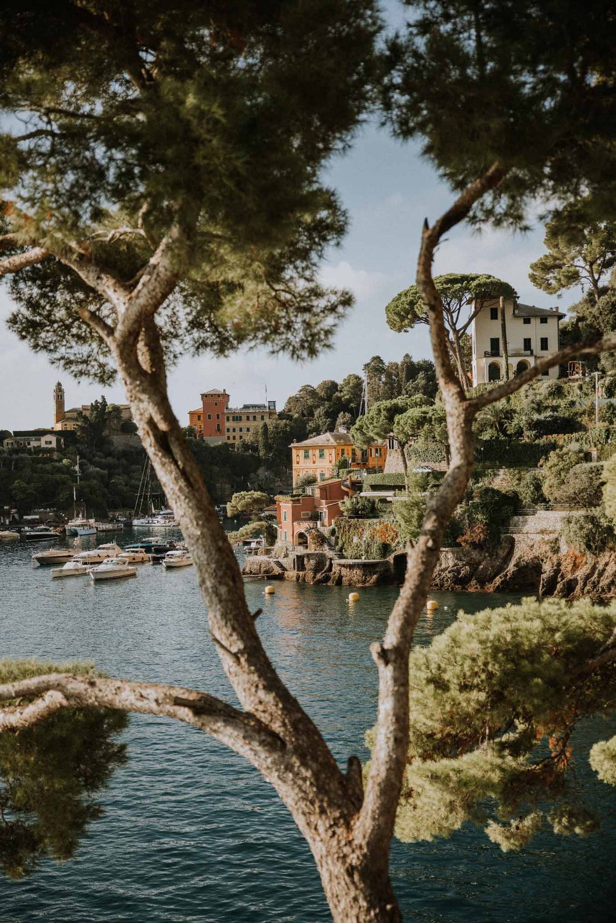 Portofino Dreams by Will Salkeld, view of Portofino harbour through Mediterranean pines with yellow villa and lighthouse on the cape, colour photography.